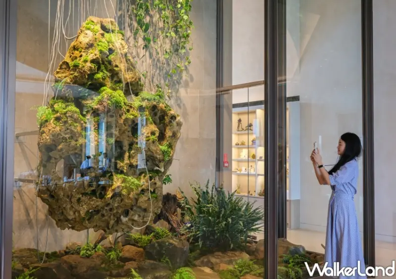 雲品溫泉酒店日月潭/ WalkerLand窩客島整理提供 未經同意不可轉載