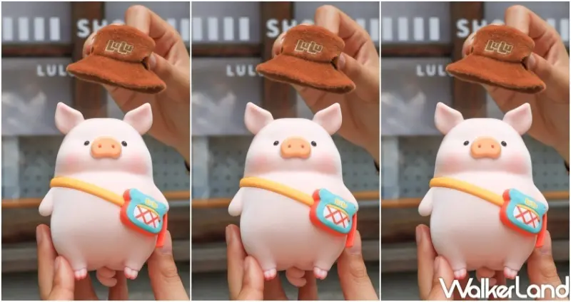 罐頭豬LuLu豬朋引伴旅行社 / WalkerLand窩客島提供 未經許可，不得轉載