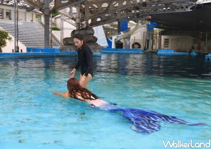 遠雄海洋公園、遠雄悅來大飯店 / WalkerLand窩客島提供 未經許可，不得轉載