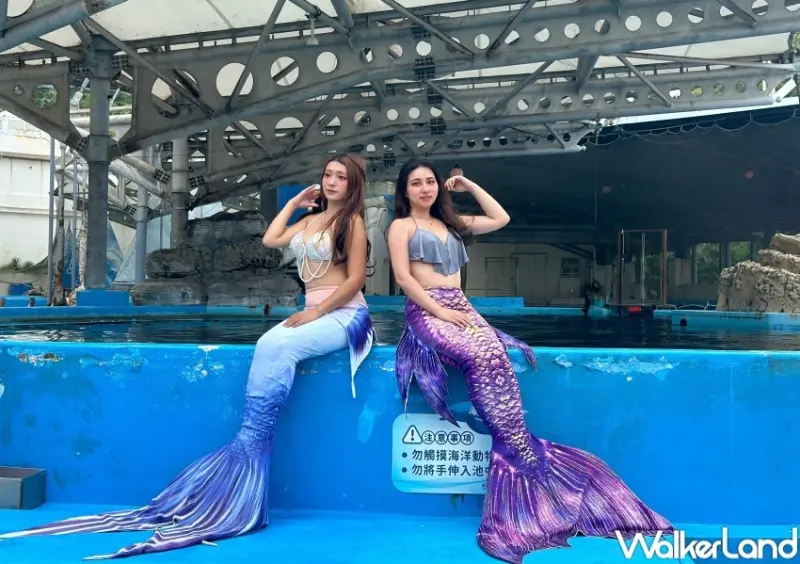 遠雄海洋公園、遠雄悅來大飯店 / WalkerLand窩客島提供 未經許可，不得轉載