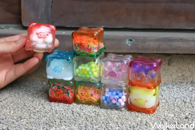 罐頭豬LuLu豬朋引伴旅行社 / WalkerLand窩客島提供 未經許可，不得轉載