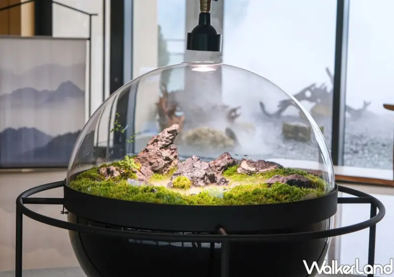 雲品溫泉酒店日月潭/ WalkerLand窩客島整理提供 未經同意不可轉載