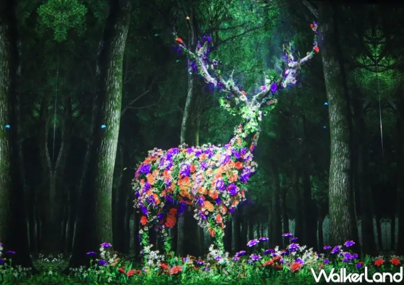 香港9大打卡玩法 / WalkerLand窩客島提供 未經許可，不得轉載