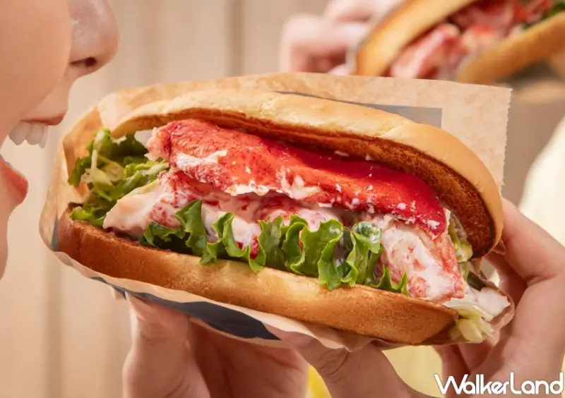 麥當勞 螯龍蝦堡  / WalkerLand窩客島提供 未經許可，不得轉載