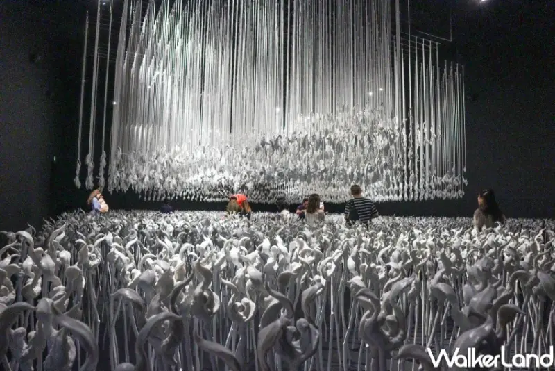 香港9大打卡玩法 / WalkerLand窩客島提供 未經許可，不得轉載