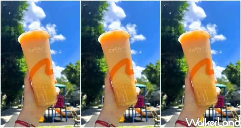 CoCo 官方LINE好友優惠 / WalkerLand窩客島提供 未經許可，不得轉載