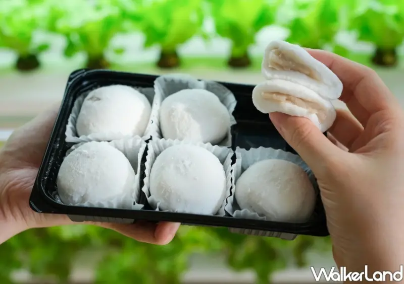 全聯芋頭季 新品/ WalkerLand窩客島整理提供 未經同意不可轉載