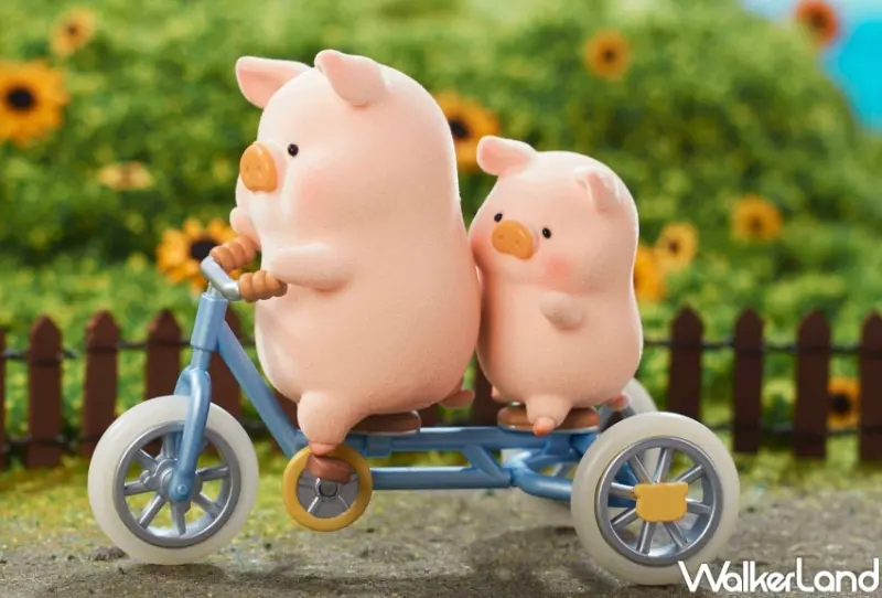 罐頭豬LuLu豬朋引伴旅行社 / WalkerLand窩客島整理提供 未經許可，不得轉載