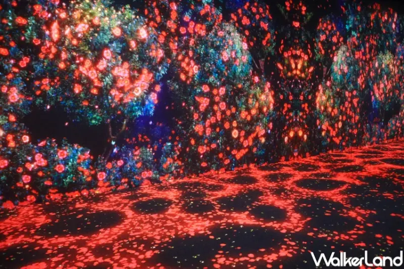 香港9大打卡玩法 / WalkerLand窩客島提供 未經許可，不得轉載