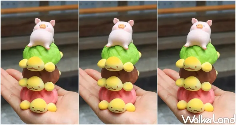 罐頭豬LuLu豬朋引伴旅行社 / WalkerLand窩客島提供 未經許可，不得轉載