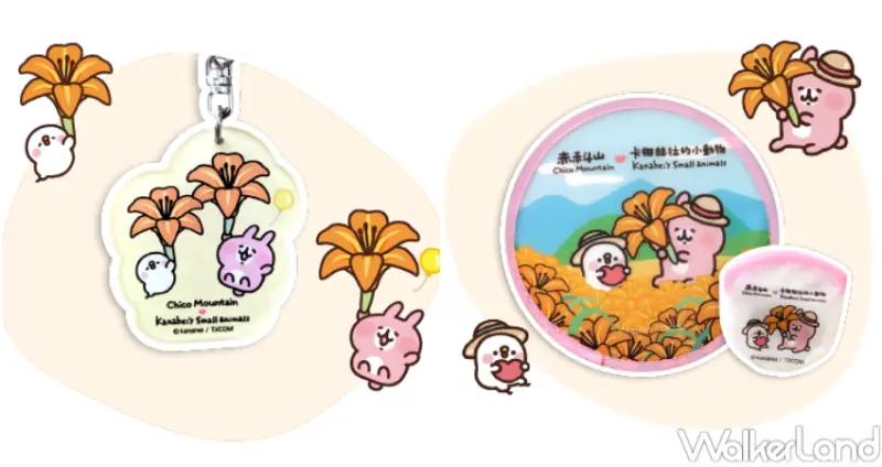 2023赤科山金針花季 / WalkerLand窩客島提供 未經許可，不得轉載