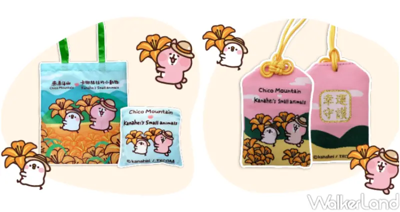 2023赤科山金針花季 / WalkerLand窩客島提供 未經許可，不得轉載