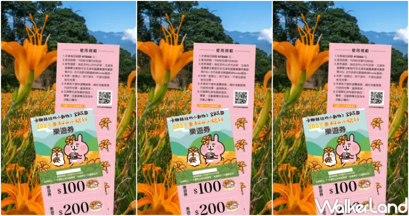 2023赤科山金針花季 / WalkerLand窩客島提供 未經許可，不得轉載