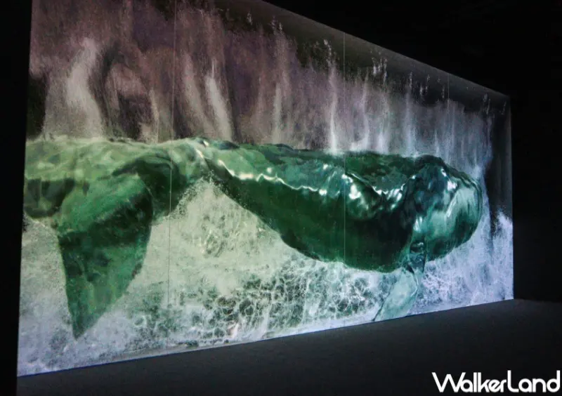 香港9大打卡玩法 / WalkerLand窩客島提供 未經許可，不得轉載