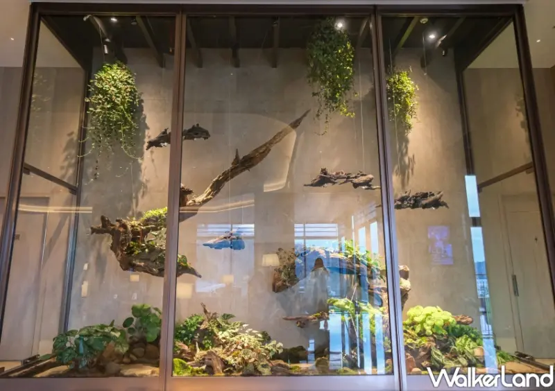 雲品溫泉酒店日月潭/ WalkerLand窩客島整理提供 未經同意不可轉載