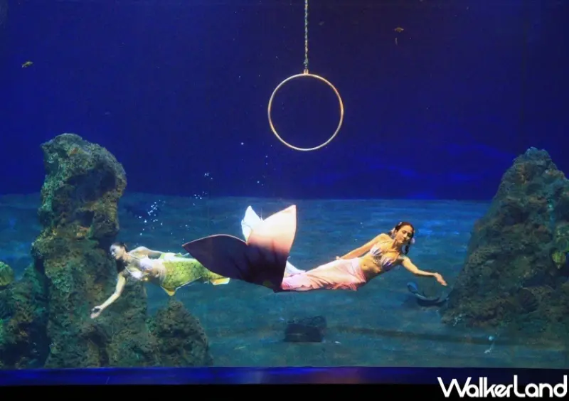 遠雄海洋公園、遠雄悅來大飯店 / WalkerLand窩客島提供 未經許可，不得轉載