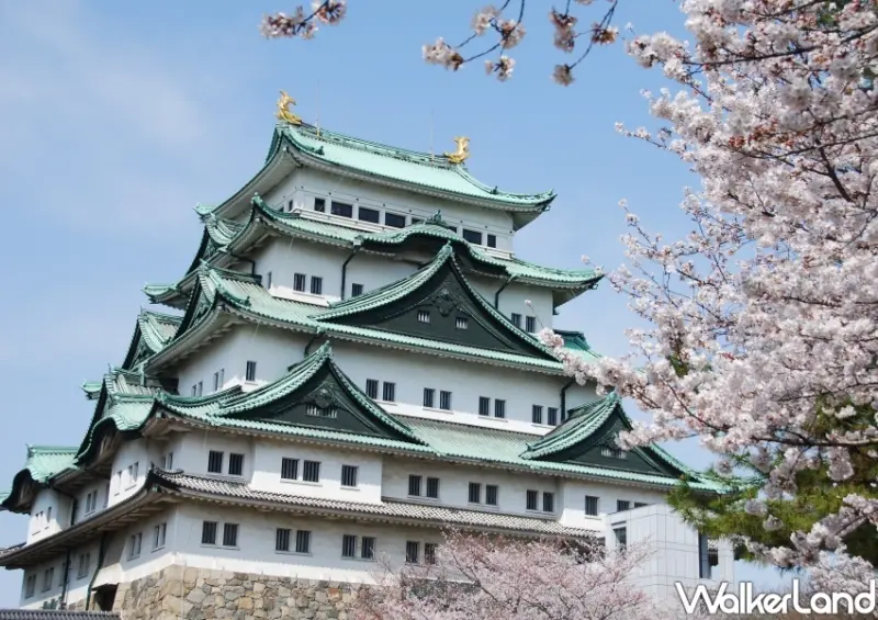 星宇航空 台北-名古屋航班資訊/WalkerLand窩客島整理提供 未經許可不可轉載