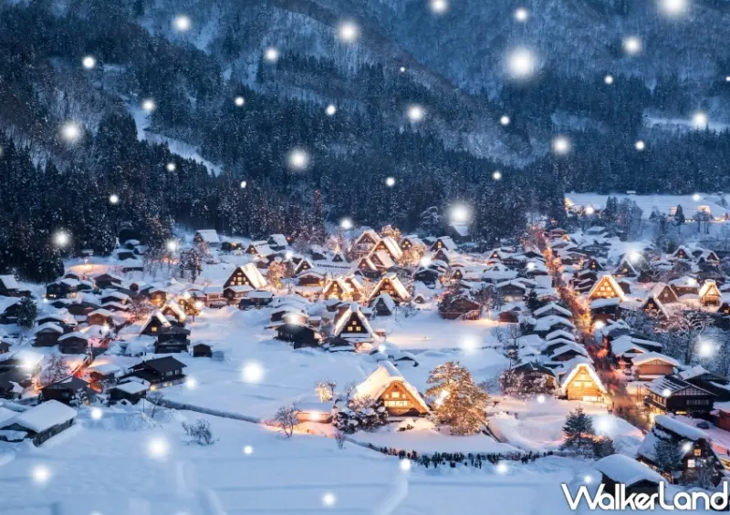 星宇航空 台北-名古屋航班資訊/WalkerLand窩客島整理提供 未經許可不可轉載