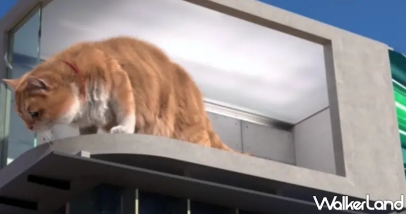 基隆舊火車站「胖橘貓」