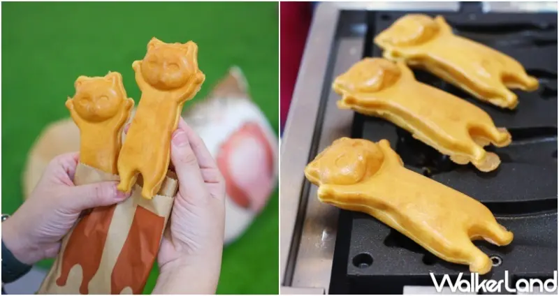 貓咪文博會 喵嗚市集 / WalkerLand窩客島整理提供 未經許可，不得轉載