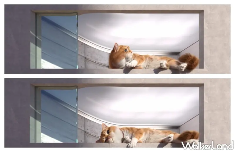 基隆舊火車站「胖橘貓」