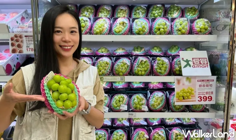 日本麝香葡萄399元