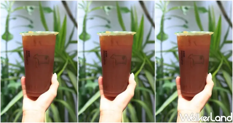 迷客夏 香緹紅茶拿鐵系列 / WalkerLand窩客島整理提供 未經許可，不得轉載