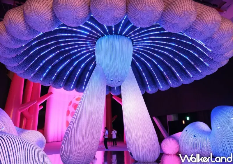 誠品生活新店「AI靈感大師：澳洲3D光影觸動樂園」/ WalkerLand窩客島整理提供 未經許可不可轉載