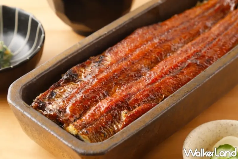 うなぎ四代目菊かわ 鰻魚飯專賣店 台中店