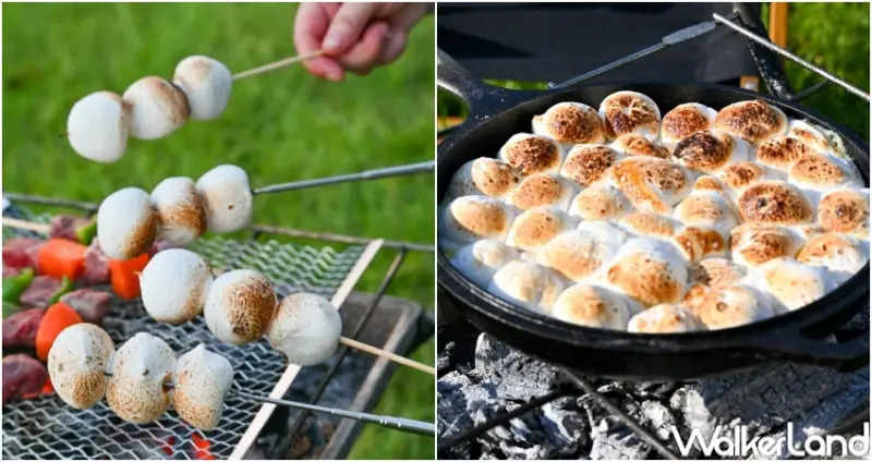 阿華田雪球濃心棉花糖隨手包 / WalkerLand窩客島整理提供 未經許可，不得轉載