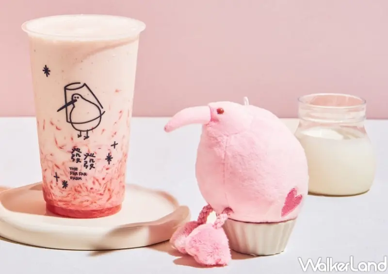 發發 粉紅柚惑系列 / WalkerLand窩客島整理提供 未經許可，不得轉載