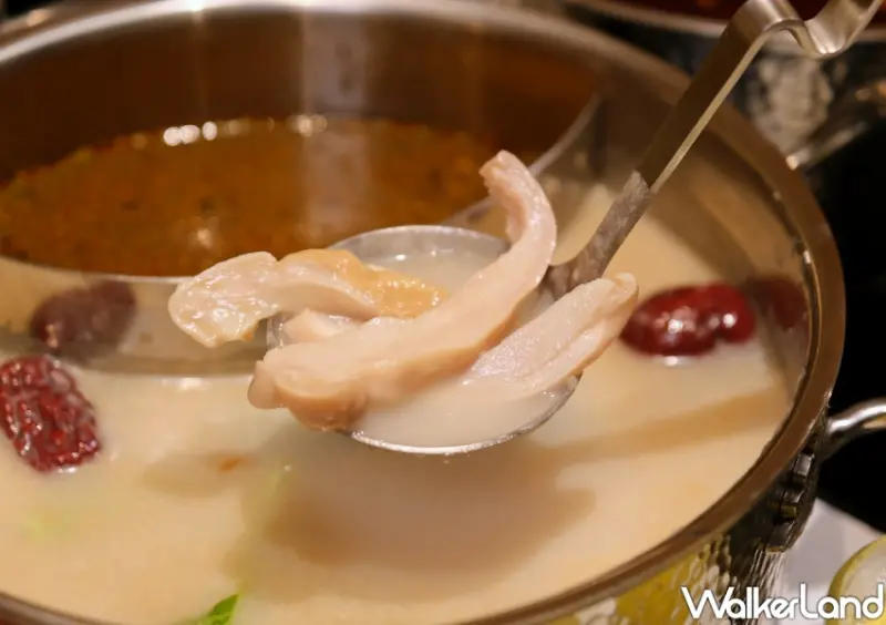 信義區火鍋「呷哺呷哺 ATT 4 FUN店」/WalkerLand窩客島整理提供 未經許可不可轉載