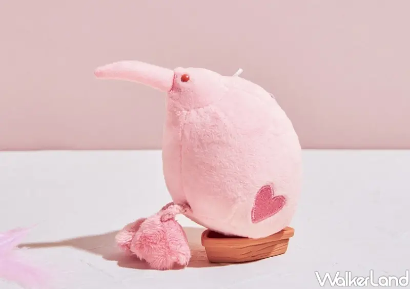 發發 粉紅柚惑系列 / WalkerLand窩客島整理提供 未經許可，不得轉載