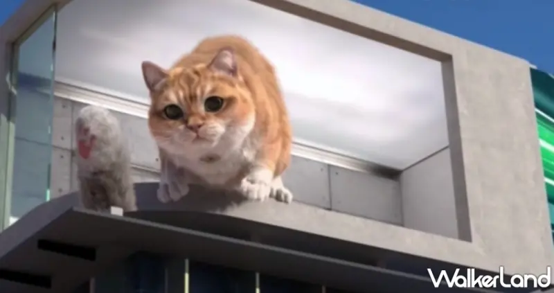 基隆舊火車站「胖橘貓」