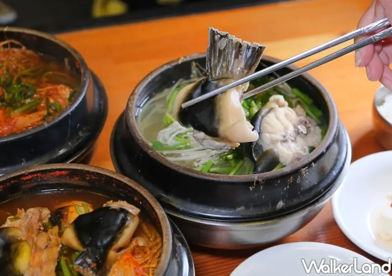 韓國釜山美食推薦 錦繡河豚湯/WalkerLand窩客島整理提供 未經許可不可轉載