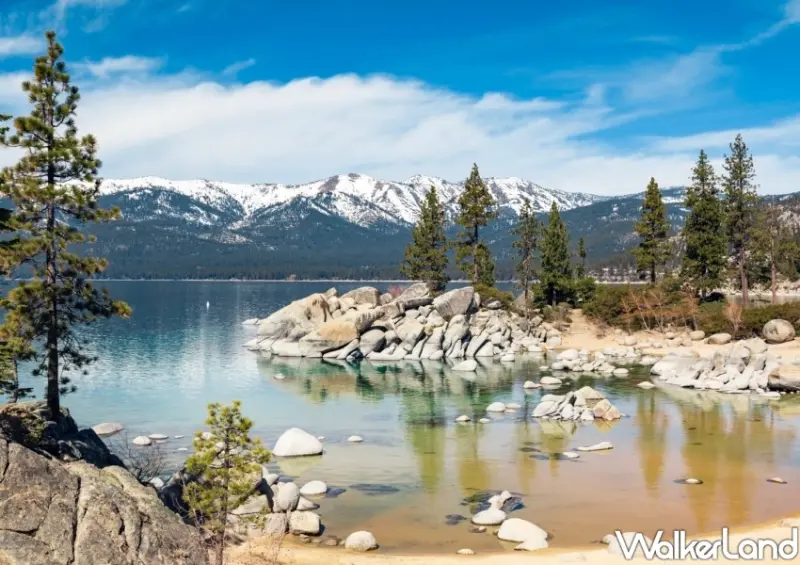 星宇航空 台北-舊金山/WalkerLand窩客島整理提供 未經許可不可轉載