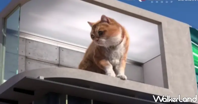 基隆舊火車站「胖橘貓」