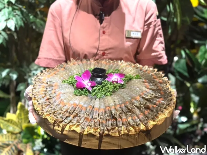 泰滾送100隻蝦子優惠活動