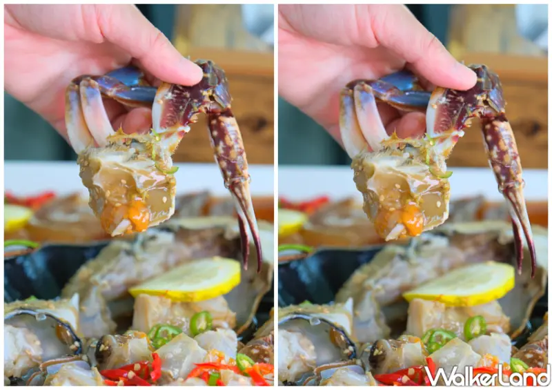韓國麗水美食 黃金醬蟹/WalkerLand窩客島整理提供 未經許可不可轉載