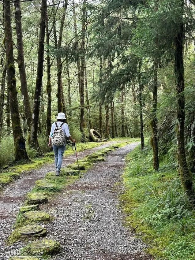  宜蘭人氣步道推薦：山毛櫸國家步道/ WalkerLand窩客島整理提供 未經許可不可轉載