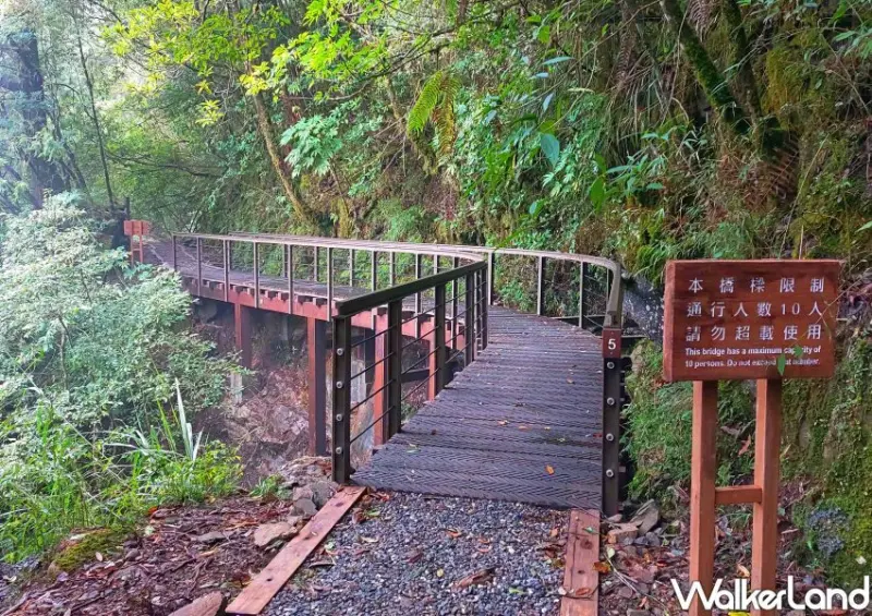 鐵道森林最美步道之一「特富野古道」/ WalkerLand窩客島整理提供 未經許可不可轉載