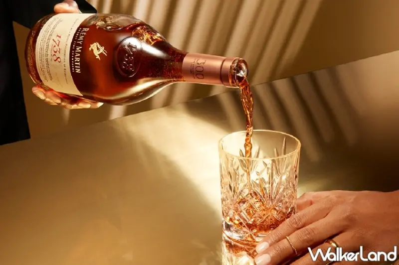 人頭馬RÉMY MARTIN 1738魔幻奇境派對演唱會