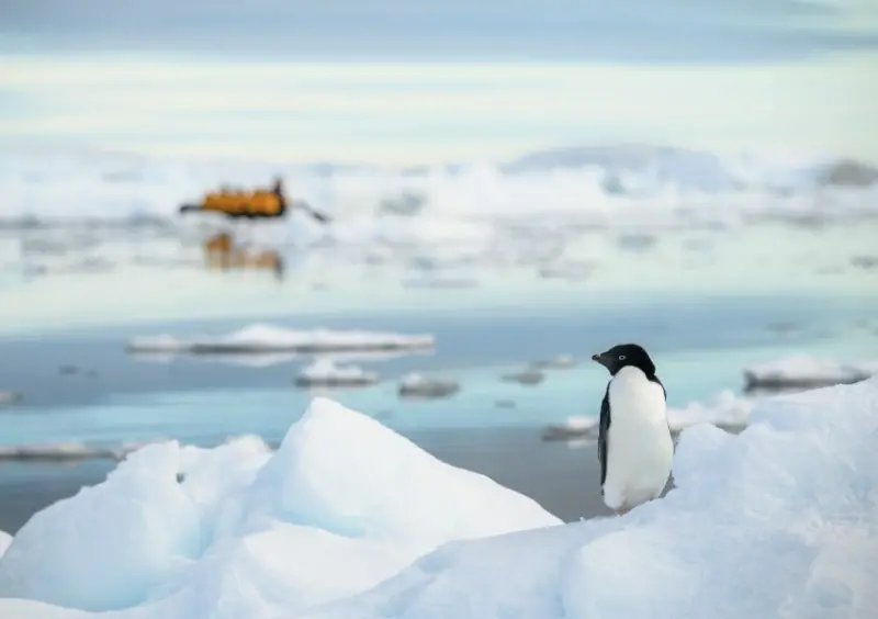 雄獅旅遊、Seabourn璽寶郵輪「南望夢想 世界之最」 / WalkerLand窩客島整理提供 未經許可不可轉載