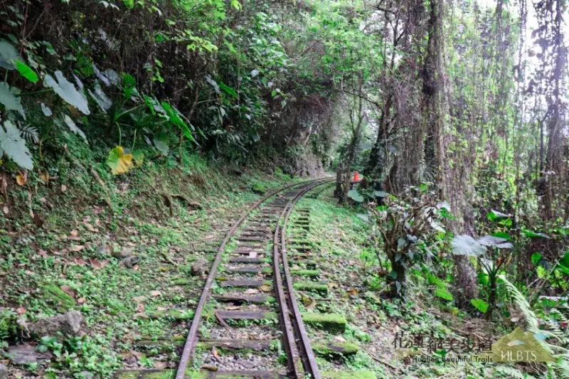 20條花蓮絕美步道 / WalkerLand窩客島整理提供 未經許可，不得轉載