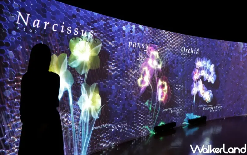 NAKED FLOWERS花之舞光影展 展區  / WalkerLand窩客島整理提供 未經許可，不得轉載