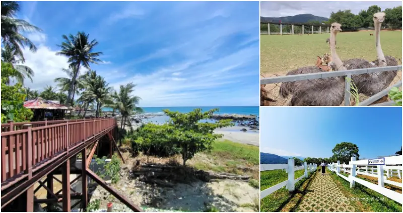 7個台東卑南玩法推薦 / WalkerLand窩客島整理提供 未經許可，不得轉載