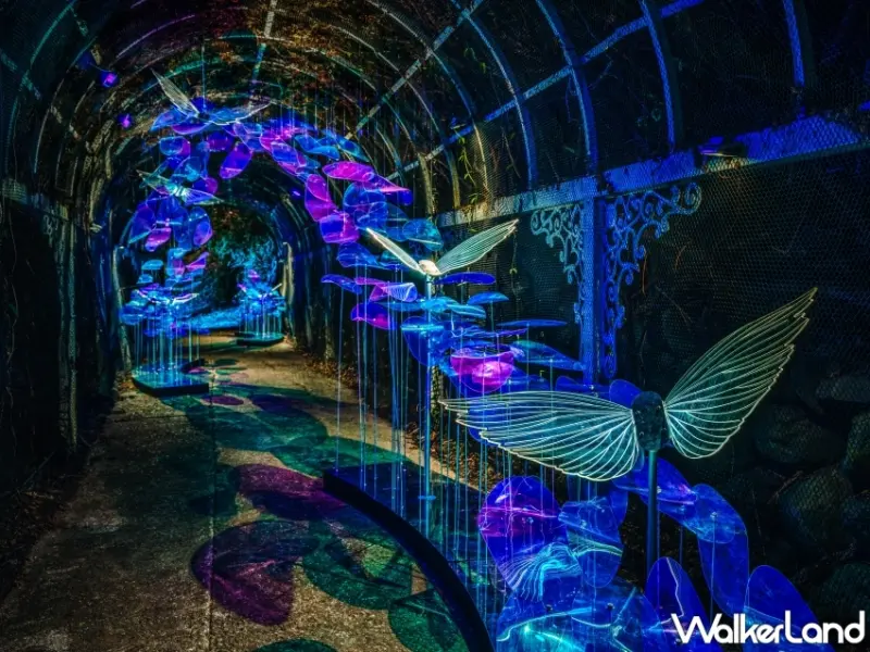 2023台東光祭在知本