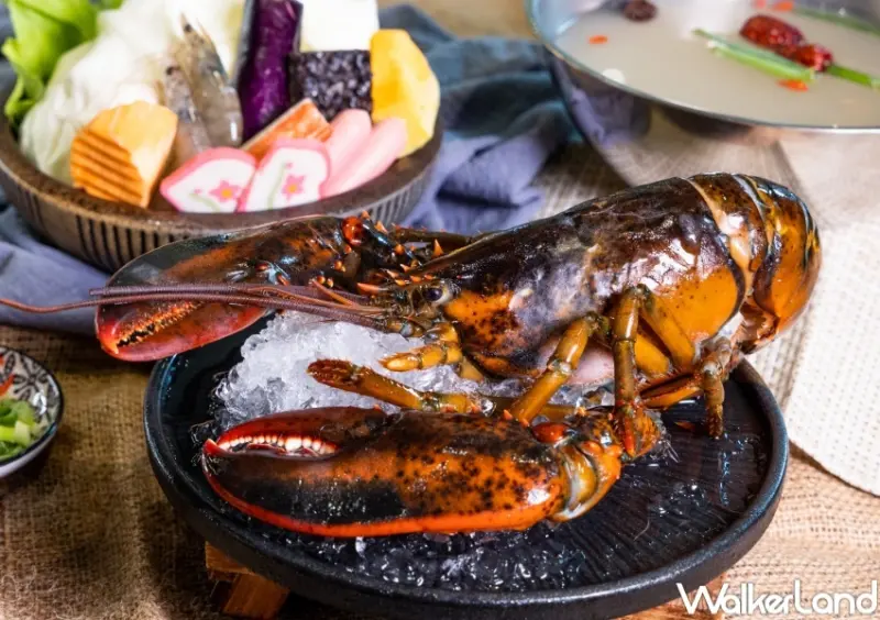 千葉火鍋 龍蝦加價購4折 / WalkerLand窩客島整理提供 未經許可，不得轉載