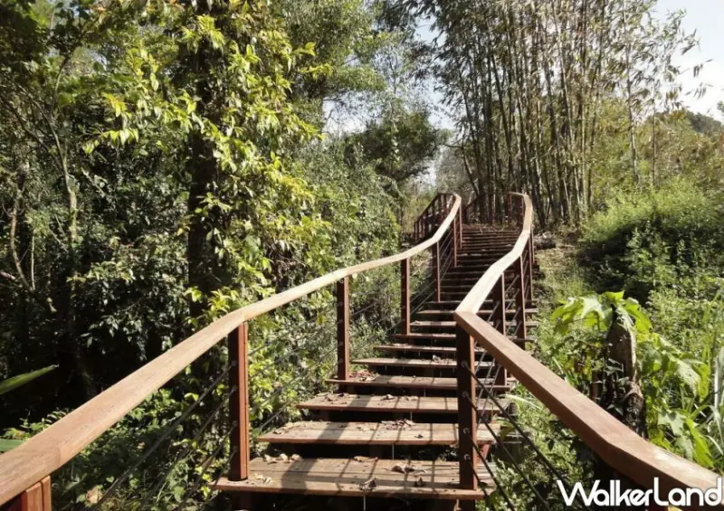 嘉義特富野步道/ WalkerLand窩客島整理提供 未經許可不可轉載