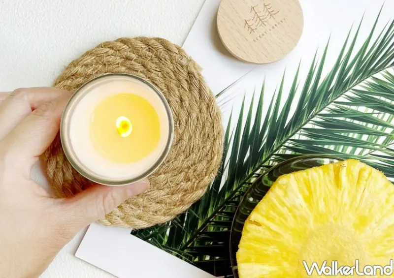 誠品新店裕隆城「綠色生活節市集」/ WalkerLand窩客島整理提供 未經許可不可轉載